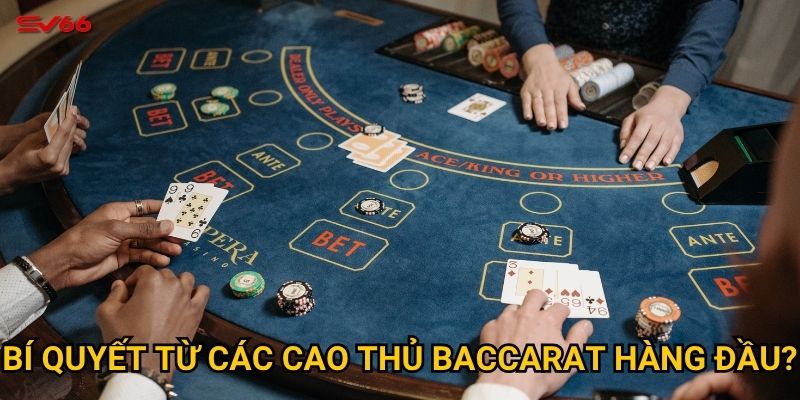 Làm thế nào để áp dụng cách đánh baccarat hiệu quả tại SV66? 3 Bí quyết từ các cao thủ baccarat hàng đầu?