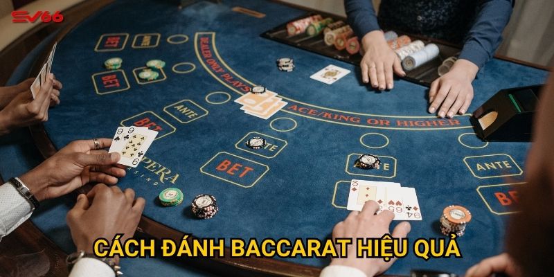 Làm thế nào để áp dụng cách đánh baccarat hiệu quả tại SV66? 6 Làm thế nào để áp dụng cách đánh baccarat hiệu quả tại SV66?