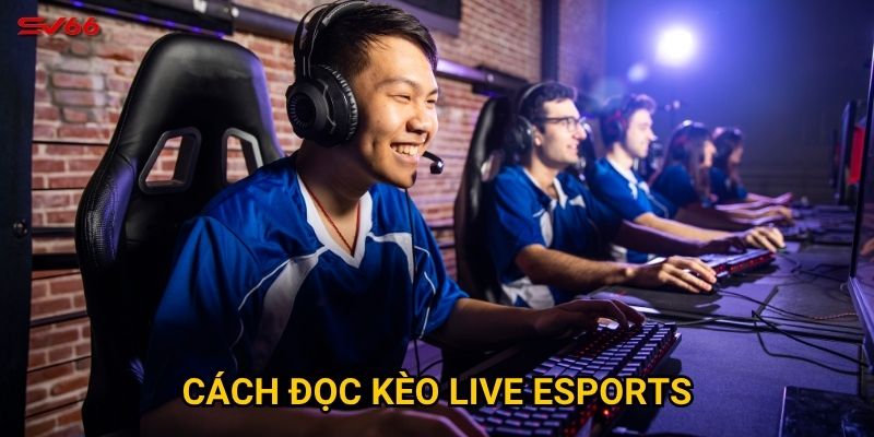 Làm thế nào để thành thạo cách đọc kèo live esports tại SV66? 4 Cách đọc kèo live esports