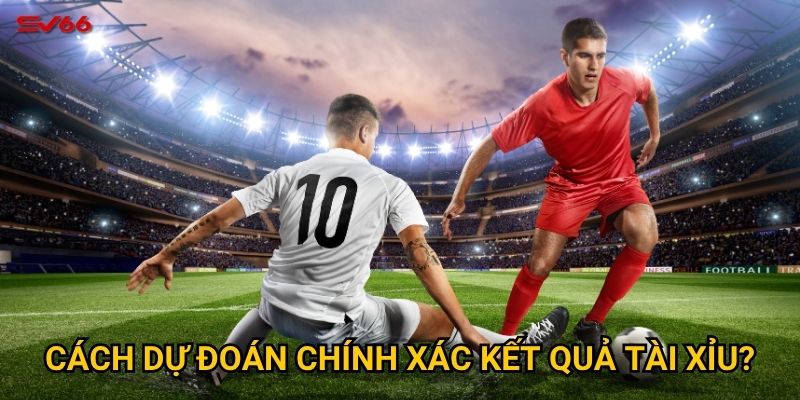 Tại sao phải nắm vững kèo tài xỉu 2.5 là gì khi chơi tại SV66? 3 Cách dự đoán chính xác kết quả tài xỉu