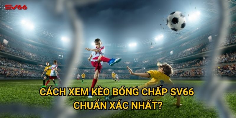 Bạn đã biết cách xem kèo bóng chấp tại SV66 chưa? 2 Cách xem kèo bóng chấp SV66 chuẩn xác nhất?