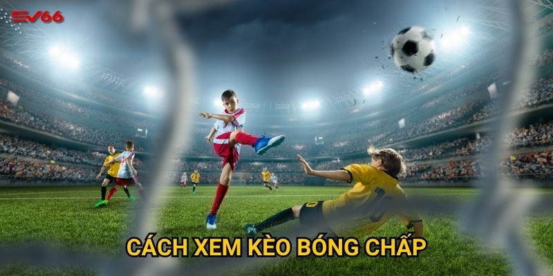 Bạn đã biết cách xem kèo bóng chấp tại SV66 chưa? 4 Bạn đã biết cách xem kèo bóng chấp tại SV66 chưa?