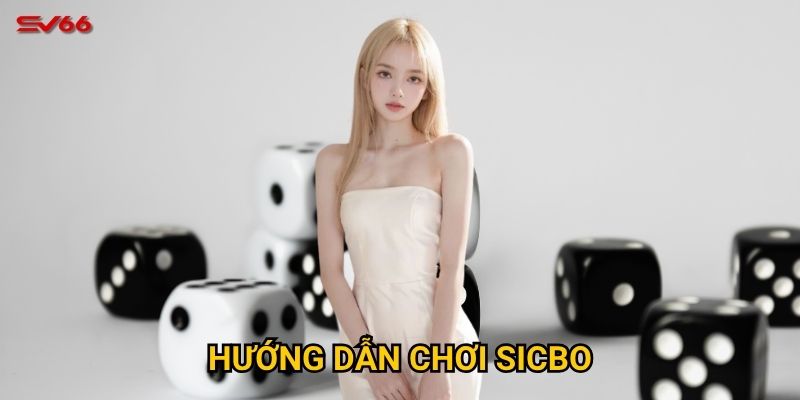 Bạn có muốn làm chủ hướng dẫn chơi sicbo tại SV66 không? 9 Bạn có muốn làm chủ hướng dẫn chơi sicbo tại SV66 không?
