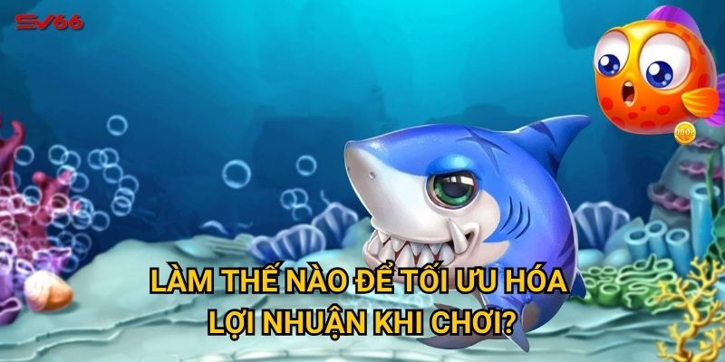 Làm thế nào để tối ưu hóa lợi nhuận khi chơi?