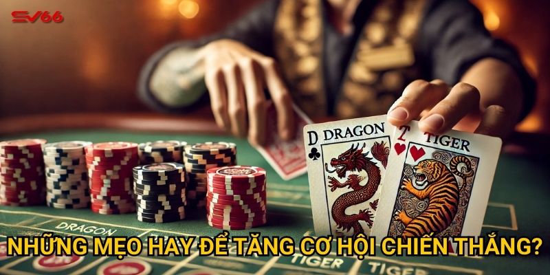 Tại sao cần học cách chơi rồng hổ cơ bản trước khi tham gia SV66? 3 Những mẹo hay để tăng cơ hội chiến thắng?